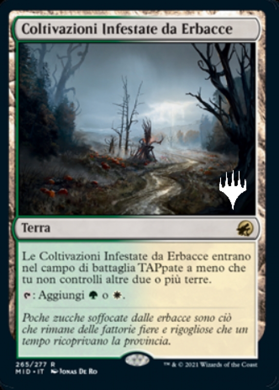 Coltivazioni Infestate da Erbacce(V.2) - Innistrad: Caccia di Mezzanotte - Italiano